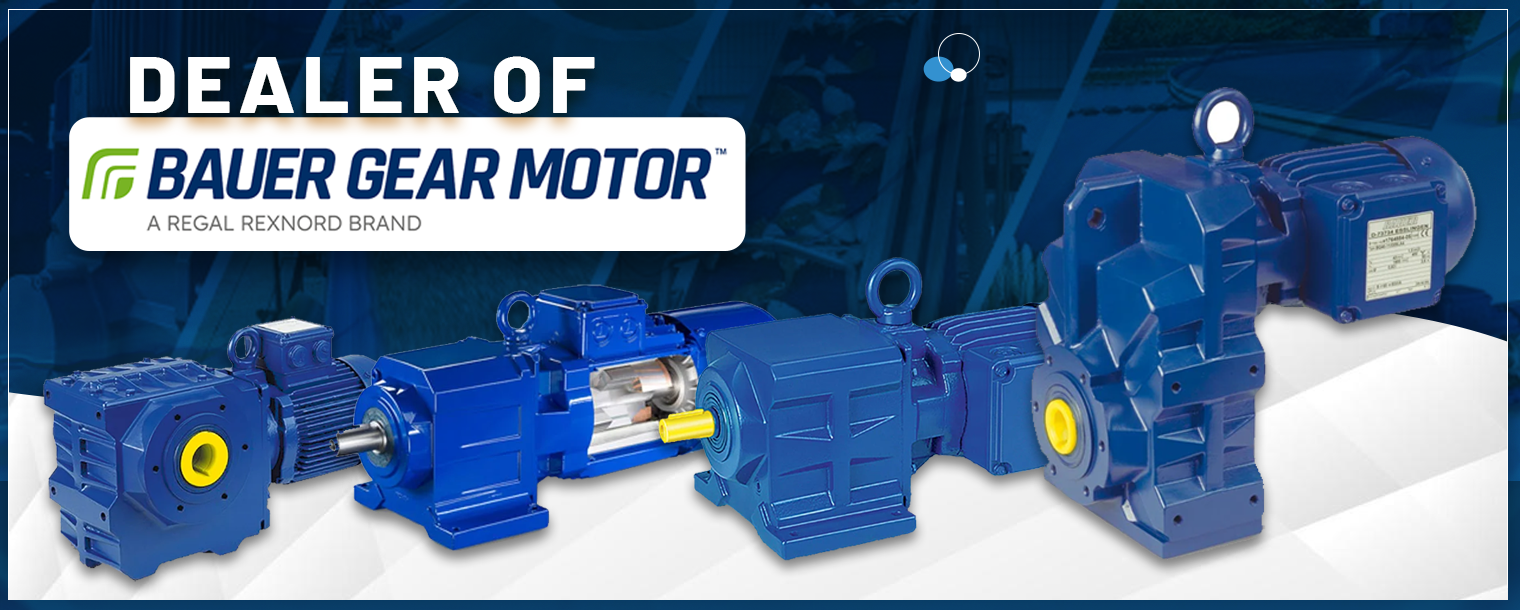 Bauer Gear Motor